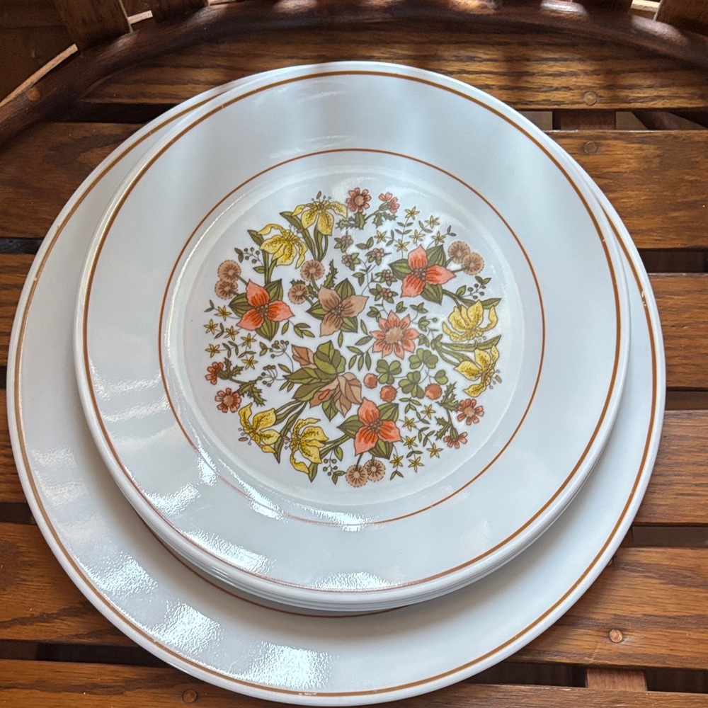 Corelle Indian Summer plates